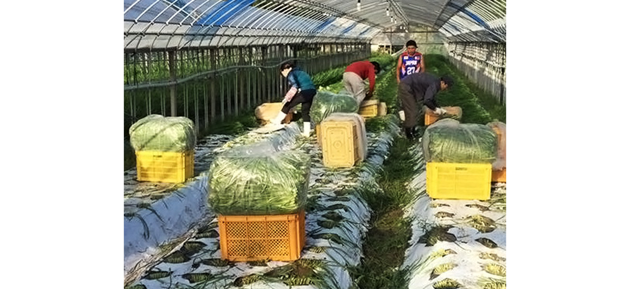 片地ファミリーファーム株式会社 様